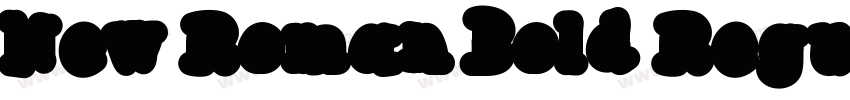New Roman Bold Regul字体转换